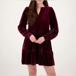 NWT 1. State Long Sleeve Velvet Dress in Burgundy